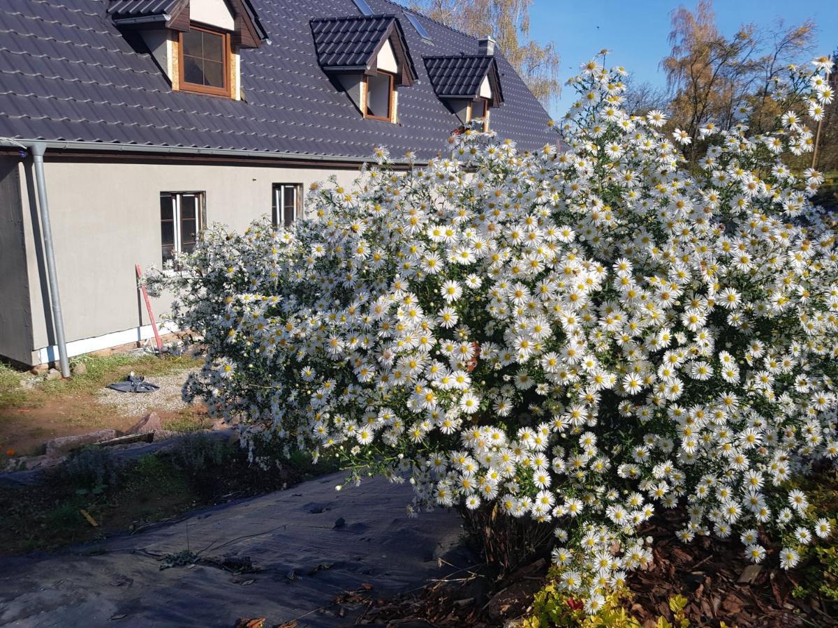 Pokoje Goscinne Art- Dworek Kudowa-Zdrój Eksteriør billede