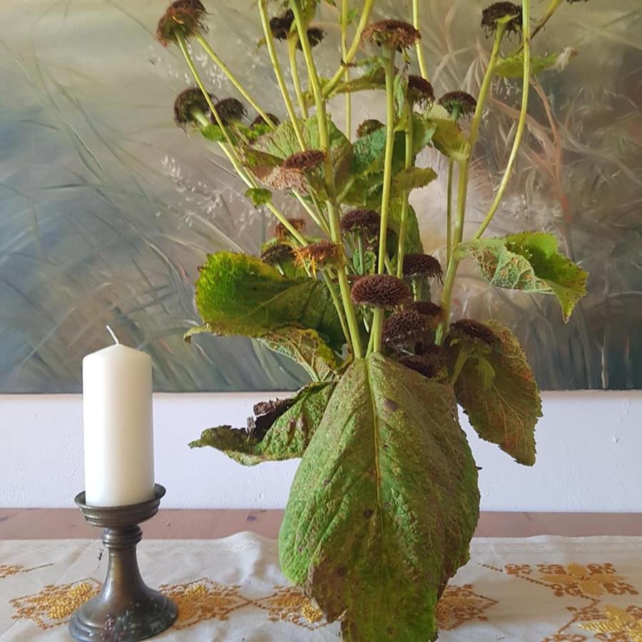 Pokoje Goscinne Art- Dworek Kudowa-Zdrój Eksteriør billede